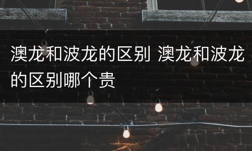 澳龙和波龙的区别 澳龙和波龙的区别哪个贵