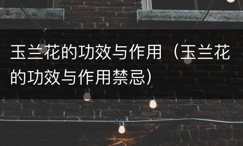 玉兰花的功效与作用（玉兰花的功效与作用禁忌）
