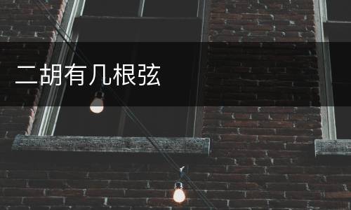 二胡有几根弦