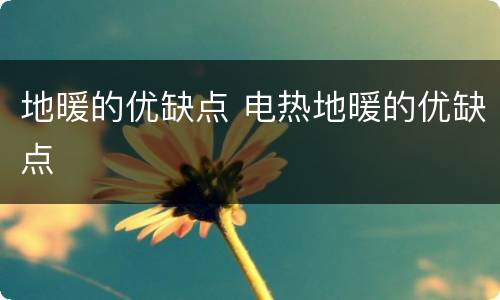 地暖的优缺点 电热地暖的优缺点