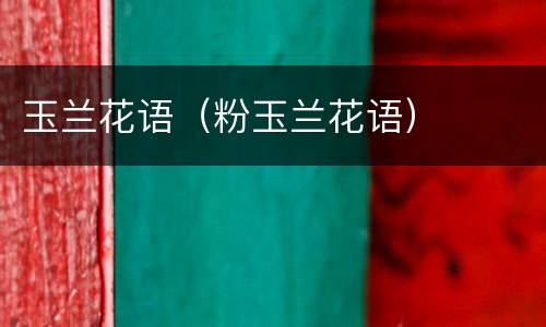 玉兰花语（粉玉兰花语）