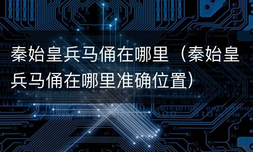 秦始皇兵马俑在哪里（秦始皇兵马俑在哪里准确位置）