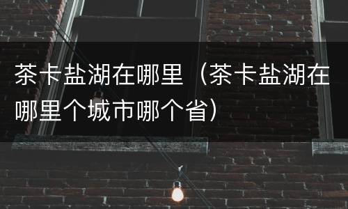 茶卡盐湖在哪里（茶卡盐湖在哪里个城市哪个省）