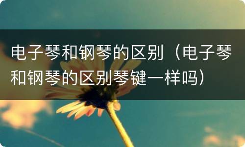 电子琴和钢琴的区别（电子琴和钢琴的区别琴键一样吗）