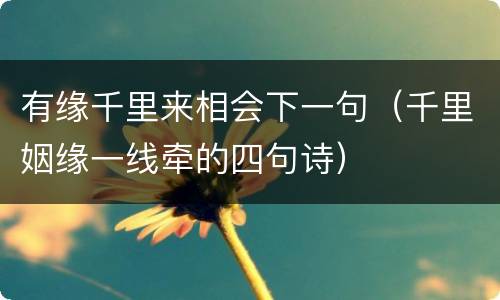 有缘千里来相会下一句（千里姻缘一线牵的四句诗）