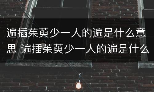 遍插茱萸少一人的遍是什么意思 遍插茱萸少一人的遍是什么意思解释