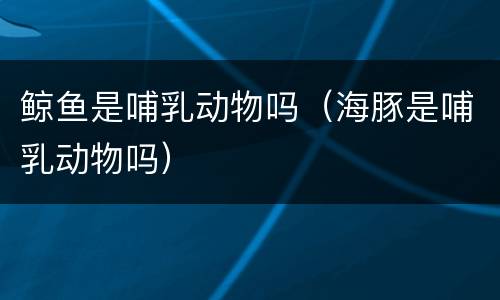 鲸鱼是哺乳动物吗（海豚是哺乳动物吗）