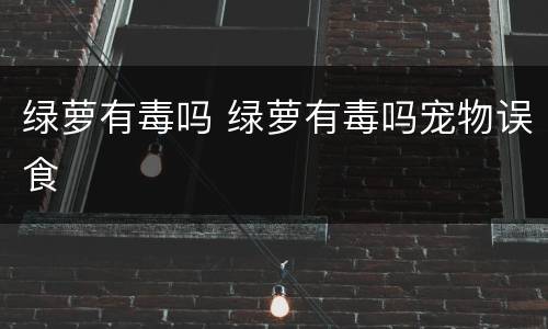 绿萝有毒吗 绿萝有毒吗宠物误食