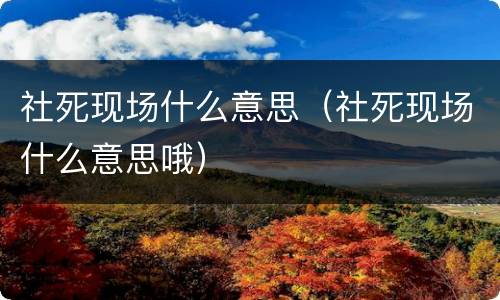 社死现场什么意思（社死现场什么意思哦）
