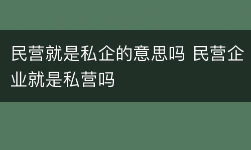 民营就是私企的意思吗 民营企业就是私营吗