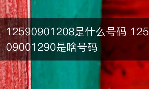 12590901208是什么号码 125909001290是啥号码