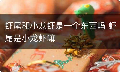 虾尾和小龙虾是一个东西吗 虾尾是小龙虾嘛