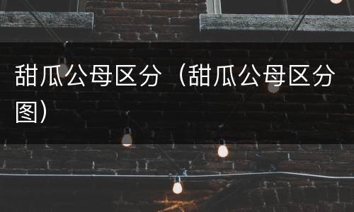 甜瓜公母区分（甜瓜公母区分图）