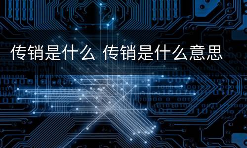 传销是什么 传销是什么意思