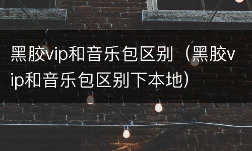 黑胶vip和音乐包区别（黑胶vip和音乐包区别下本地）