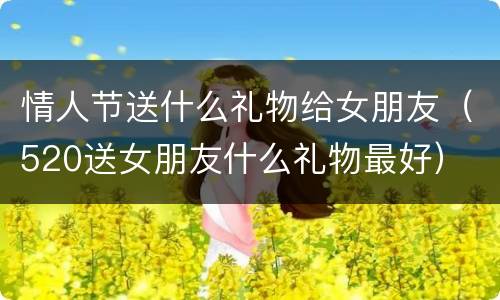 情人节送什么礼物给女朋友（520送女朋友什么礼物最好）