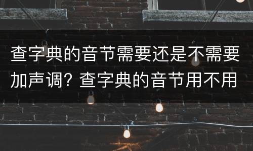 查字典的音节需要还是不需要加声调? 查字典的音节用不用加声调