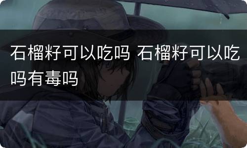石榴籽可以吃吗 石榴籽可以吃吗有毒吗