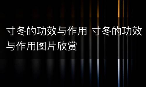 寸冬的功效与作用 寸冬的功效与作用图片欣赏