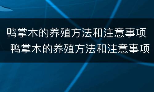 鸭掌木的养殖方法和注意事项 鸭掌木的养殖方法和注意事项有哪些