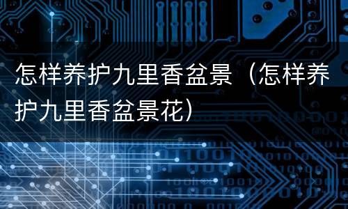 怎样养护九里香盆景（怎样养护九里香盆景花）