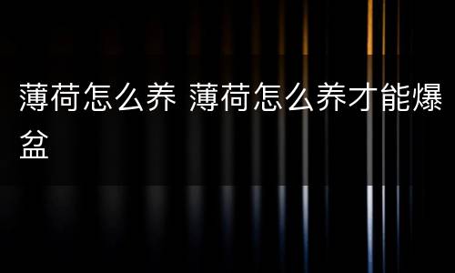 薄荷怎么养 薄荷怎么养才能爆盆