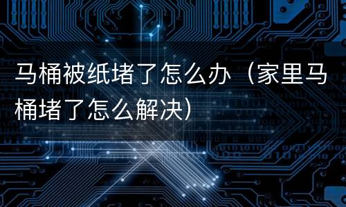 马桶被纸堵了怎么办（家里马桶堵了怎么解决）