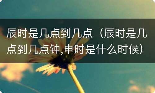 辰时是几点到几点（辰时是几点到几点钟,申时是什么时候）