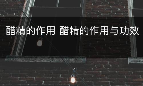 醋精的作用 醋精的作用与功效