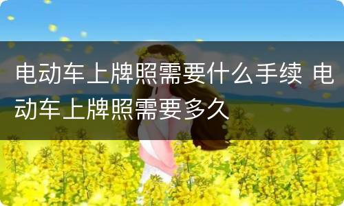 电动车上牌照需要什么手续 电动车上牌照需要多久