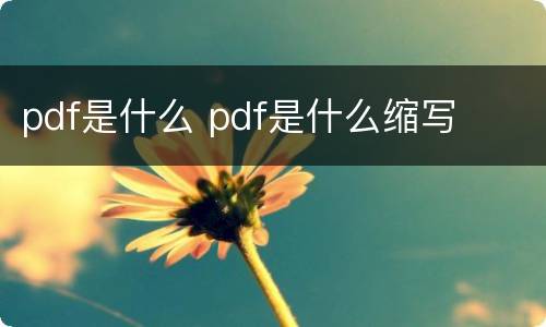 pdf是什么 pdf是什么缩写