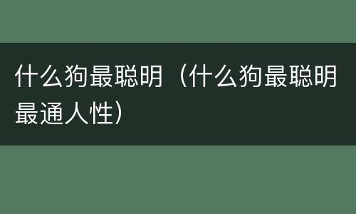 什么狗最聪明（什么狗最聪明最通人性）