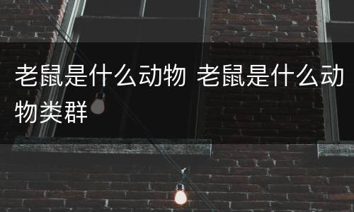 老鼠是什么动物 老鼠是什么动物类群