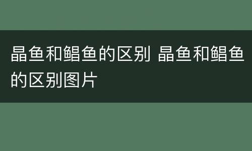 晶鱼和鲳鱼的区别 晶鱼和鲳鱼的区别图片