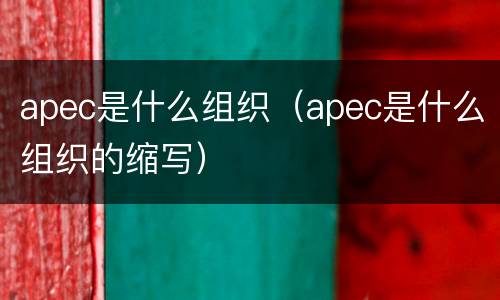apec是什么组织（apec是什么组织的缩写）