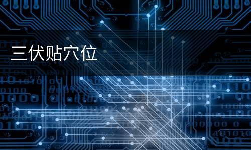三伏贴穴位
