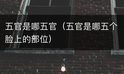 五官是哪五官（五官是哪五个脸上的部位）