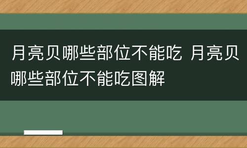 月亮贝哪些部位不能吃 月亮贝哪些部位不能吃图解