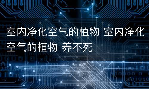 室内净化空气的植物 室内净化空气的植物 养不死