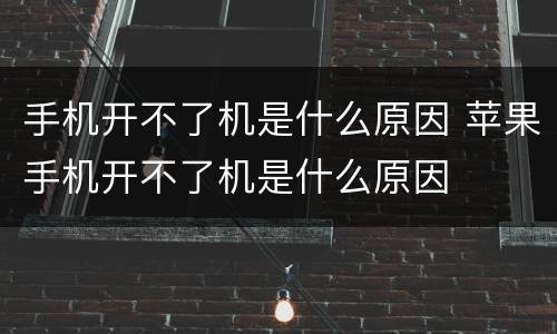手机开不了机是什么原因 苹果手机开不了机是什么原因