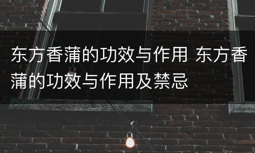 东方香蒲的功效与作用 东方香蒲的功效与作用及禁忌