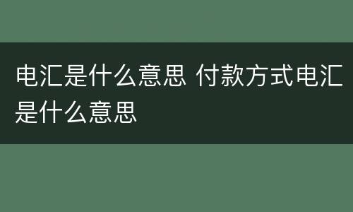 电汇是什么意思 付款方式电汇是什么意思