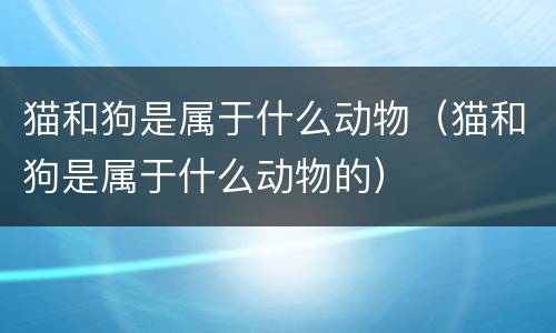 猫和狗是属于什么动物（猫和狗是属于什么动物的）
