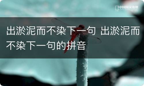 出淤泥而不染下一句 出淤泥而不染下一句的拼音
