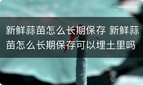 新鲜蒜苗怎么长期保存 新鲜蒜苗怎么长期保存可以埋土里吗