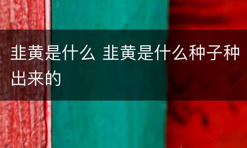 韭黄是什么 韭黄是什么种子种出来的