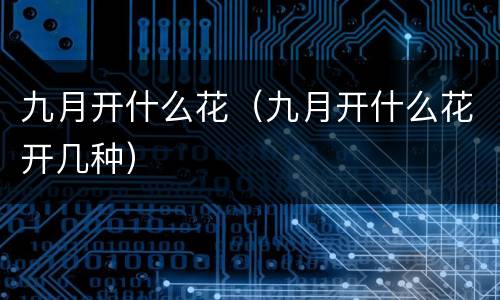 九月开什么花（九月开什么花开几种）