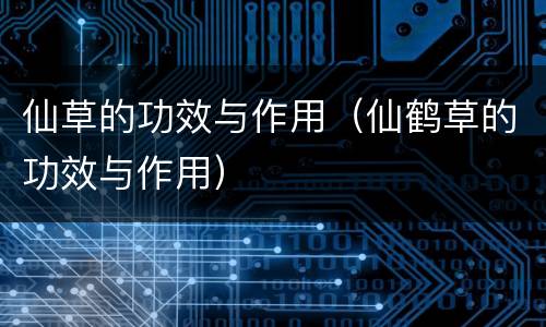 仙草的功效与作用（仙鹤草的功效与作用）
