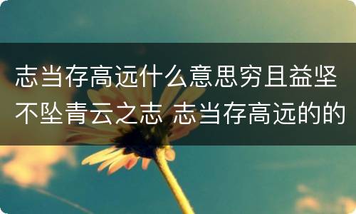 志当存高远什么意思穷且益坚不坠青云之志 志当存高远的的意思解释