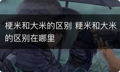 梗米和大米的区别 粳米和大米的区别在哪里